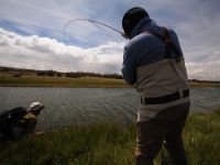 Fly fishing picture