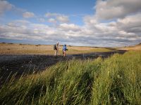 Fly fishing picture