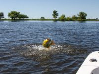 Foto de pesca con mosca