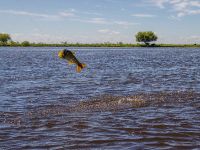 Foto de pesca con mosca