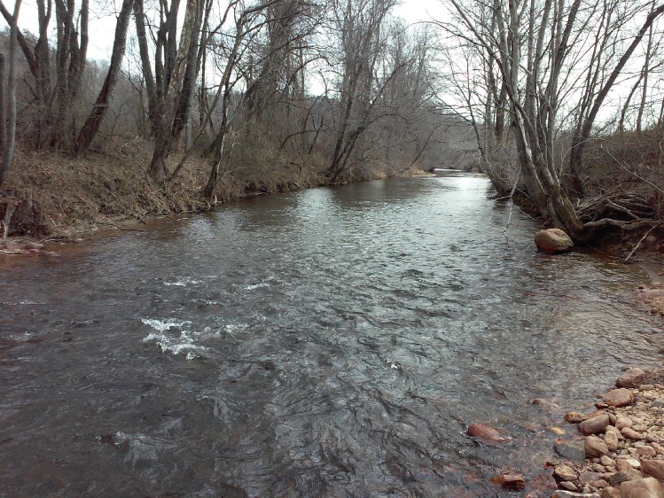 Glorious first fishing day of the year. Mitchell River, North Carolina.