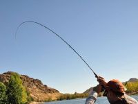 Fly fishing picture