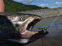 Foto de pesca con mosca