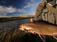 Foto de pesca con mosca