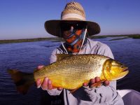 Fly fishing picture