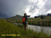 Fly fishing picture