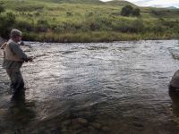 Fly fishing picture