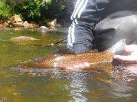 Foto de pesca con mosca