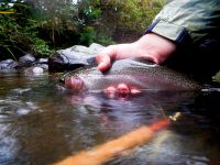 Foto de pesca con mosca