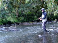 Foto de pesca con mosca