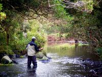 Foto de pesca con mosca