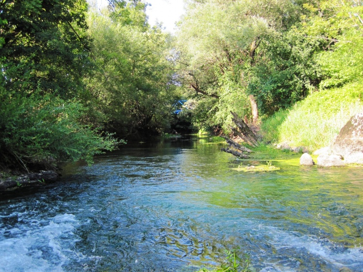 Ljubija river in Verd (Vrhnika city)