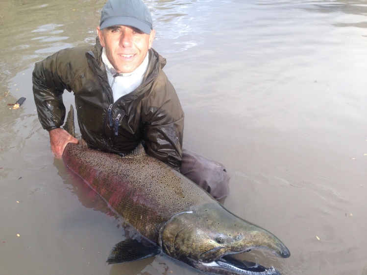 King Salmon río Petrohue +25 kgs