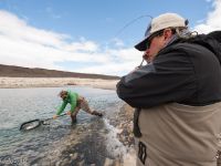 Fly fishing picture