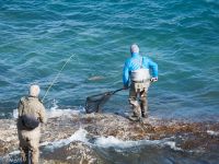 Fly fishing picture