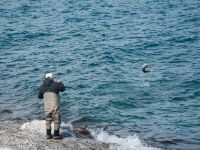 Fly fishing picture