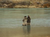 Fly fishing picture