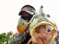 Miami, Florida peacock bass.