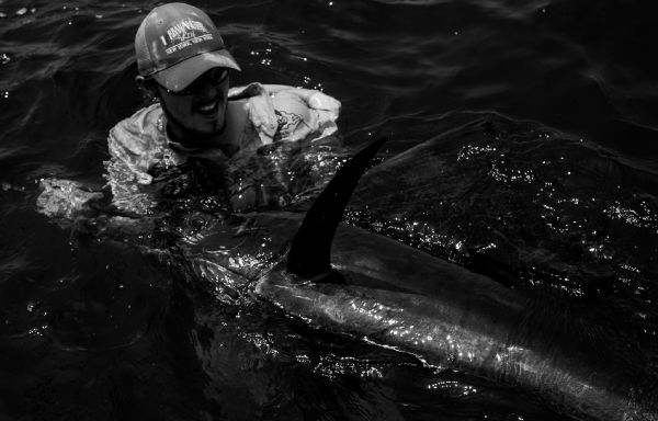 Fergus Kelley 's Fly-fishing Catch of a Sailfish – Fly dreamers 