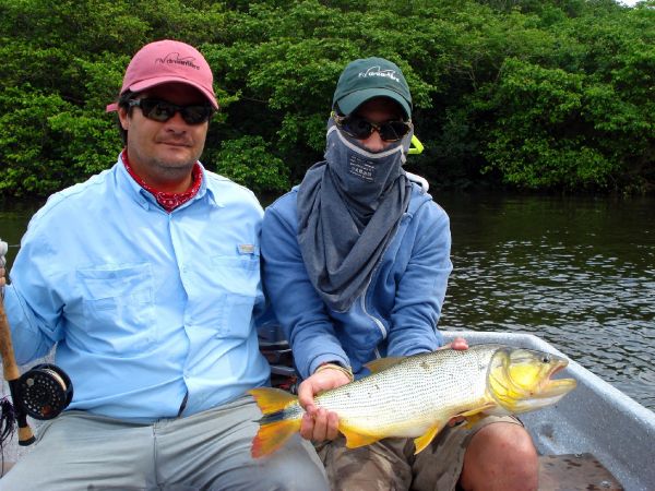 Fly-fishing Picture of Golden Dorado shared by Santiago Miraglia – Fly dreamers