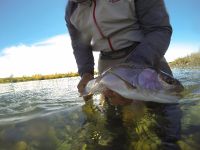 Foto de pesca con mosca