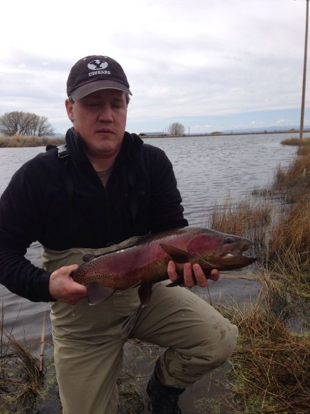 Kris Sanders 's Fly-fishing Catch of a Rainbow trout – Fly dreamers 
