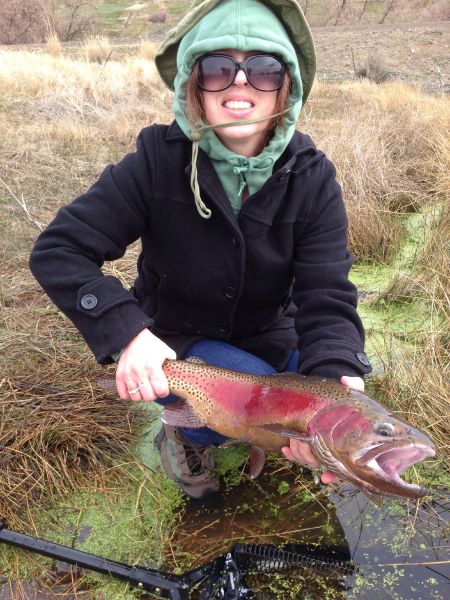 Fly-fishing Pic of Rainbow trout shared by Kris Sanders – Fly dreamers 