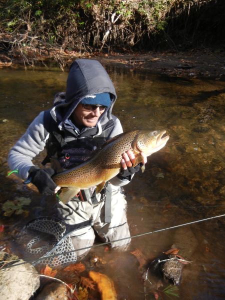 Fly-fishing Pic of Brown trout shared by Guillaume Duvernois – Fly dreamers 
