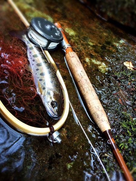 Maki Caenis 's Fly-fishing Photo of a Yamame – Fly dreamers 