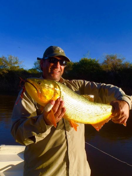 Fernando Hook & Gold Outfitters 's Fly-fishing Photo of a Golden Dorado – Fly dreamers 