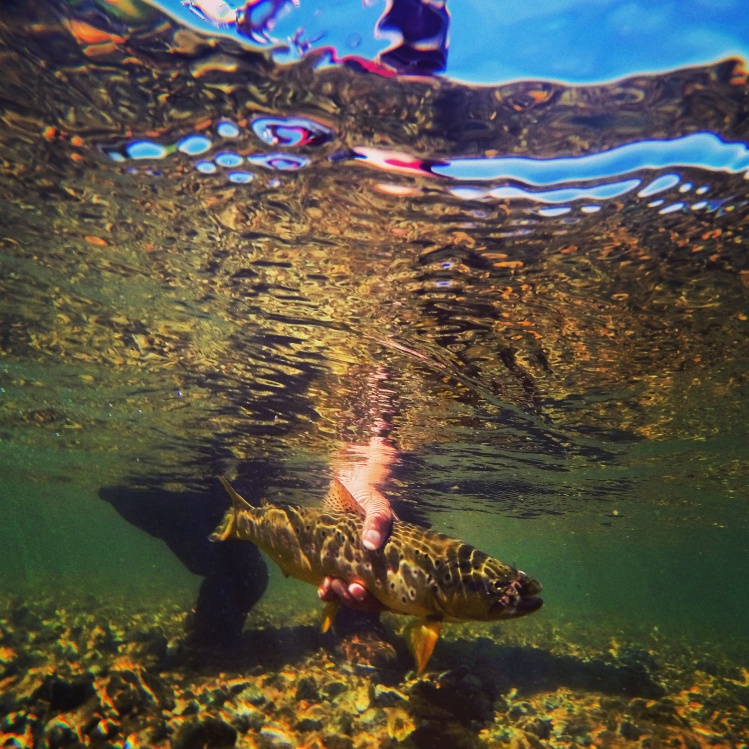 Underwaterlove
