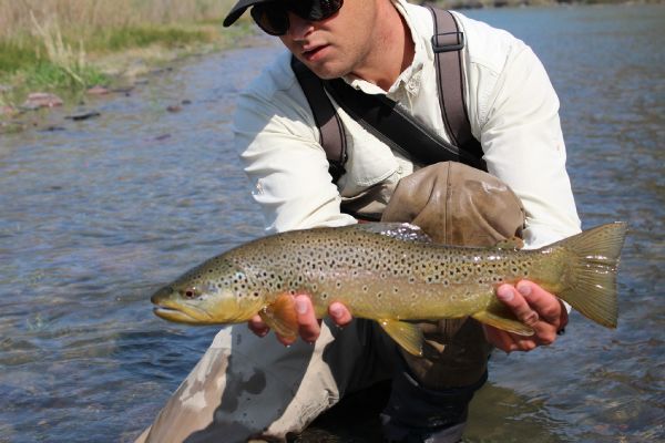 Robby Gaworski 's Fly-fishing Photo of a Brown trout – Fly dreamers 