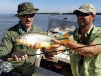 Fly fishing picture