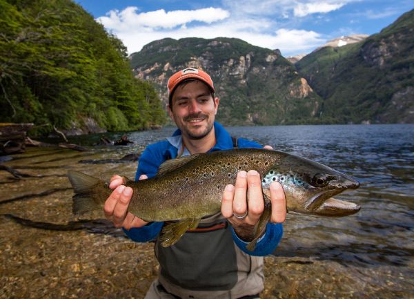 Fly-fishing Image of Brown trout shared by Martín Aylwin – Fly dreamers
