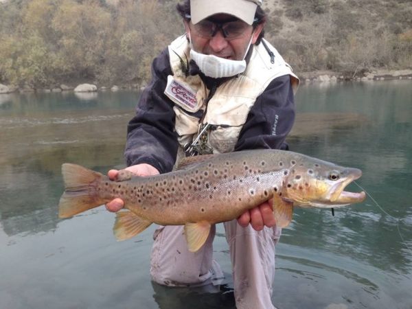 Rodo Radic 's Fly-fishing Photo of a Brown trout – Fly dreamers 