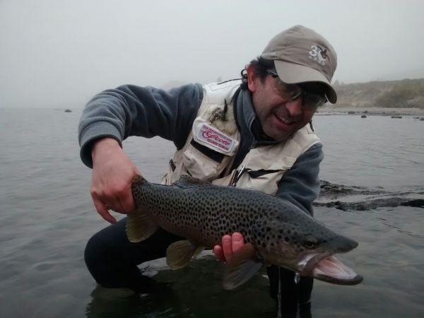 Rodo Radic 's Fly-fishing Pic of a Brown trout – Fly dreamers 