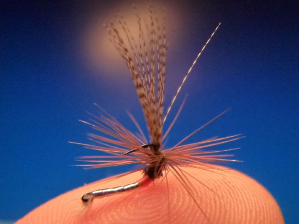 Fly-tying for Rainbow trout -  Image shared by Carlos Estrada – Fly dreamers