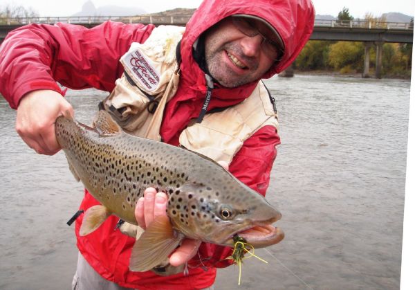 Rodo Radic 's Fly-fishing Photo of a Brown trout – Fly dreamers 