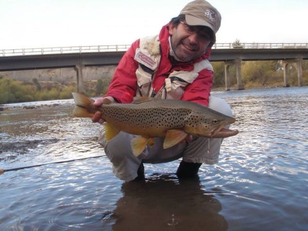Fly-fishing Pic of Brown trout shared by Rodo Radic – Fly dreamers 
