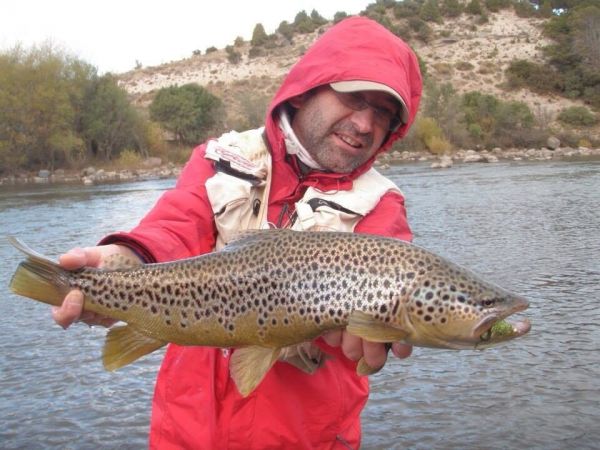 Rodo Radic 's Fly-fishing Photo of a Brown trout – Fly dreamers 