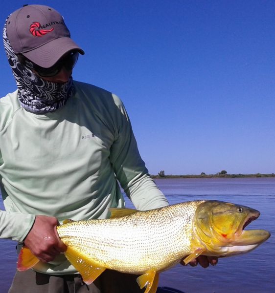 Golden Dorado Fly-fishing Situation – Lucas Matias De Zan shared this Pic in Fly dreamers 