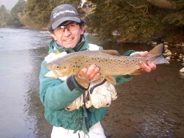 Fly-fishing Photo of Brown trout shared by Rodo Radic – Fly dreamers 