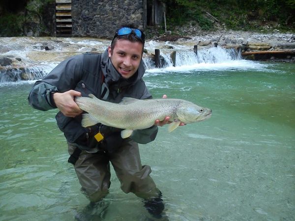 Fly-fishing Pic of Marble Trout shared by Gasper Konkolic – Fly dreamers 