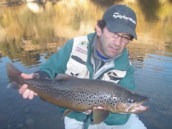 Rodo Radic 's Fly-fishing Picture of a Brown trout – Fly dreamers 