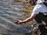 Foto de pesca con mosca