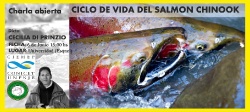 CHARLA ABIERTA: CICLO DE VIDA DEL SALMON CHINOOK