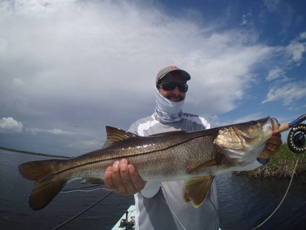 Fly-fishing Pic of Snook - Robalo shared by Carlos Granier – Fly dreamers 