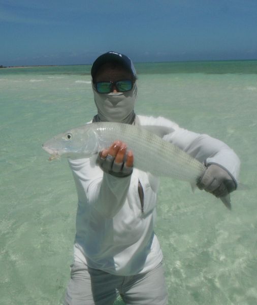 Michael Biggins 's Fly-fishing Catch of a Bonefish – Fly dreamers 