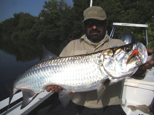 Tarpon Fly-fishing Situation – JUAN Winchester shared this () Image in Fly dreamers 