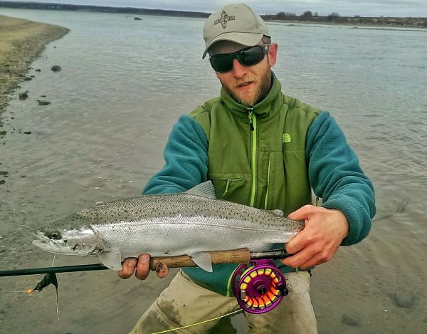 Fly-fishing Pic of Rainbow trout shared by Mikey Wright – Fly dreamers 